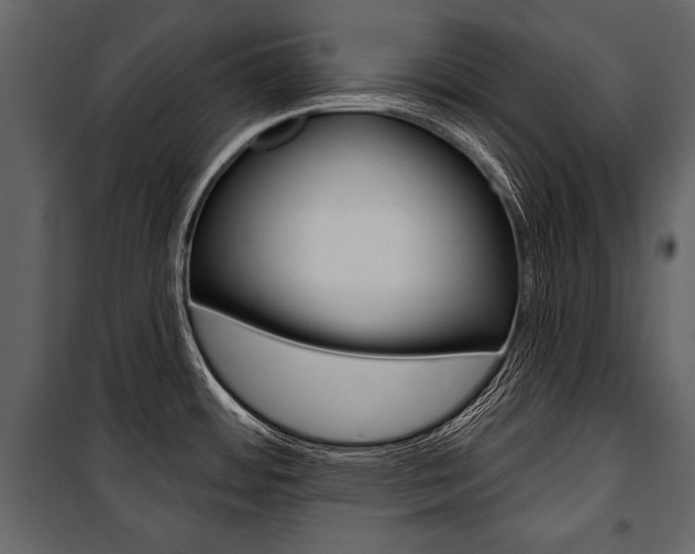 X0000100921484200806241101