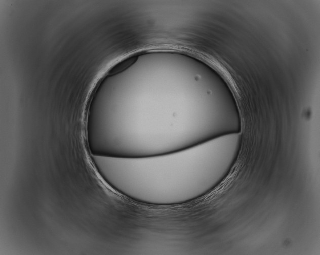 X0000100921485200806241101