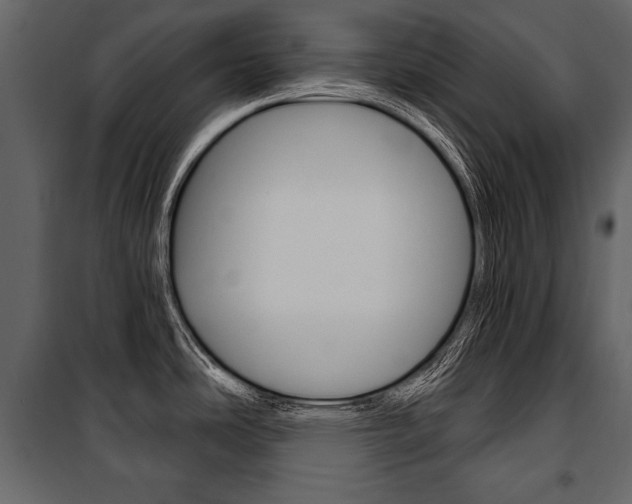 X0000100921486200806241101