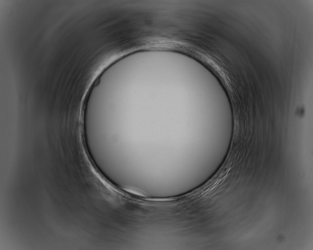X0000100921487200806241101