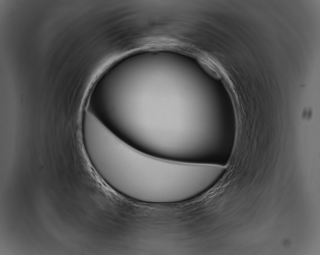 X0000100921488200806241101