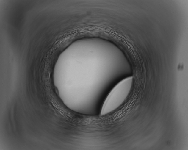 X0000100921489200806241100