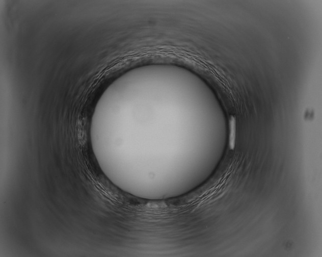 X0000100921491200806241101