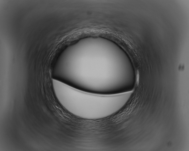 X0000100921492200806241101