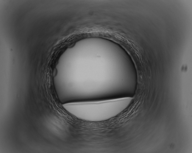 X0000100921493200806241101