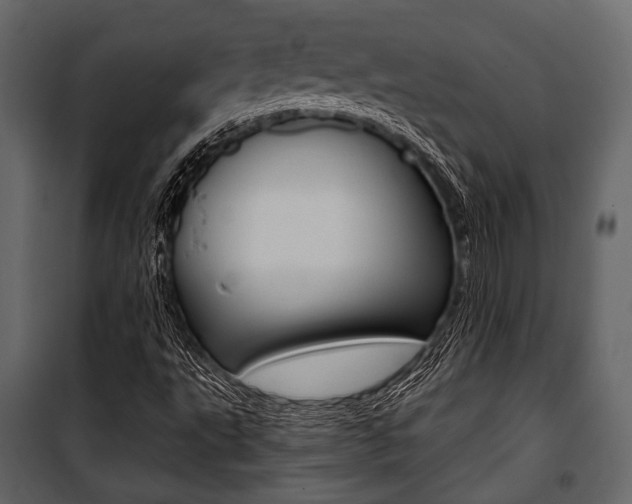 X0000100921495200806241101