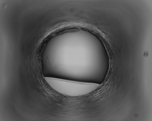 X0000100921496200806241101