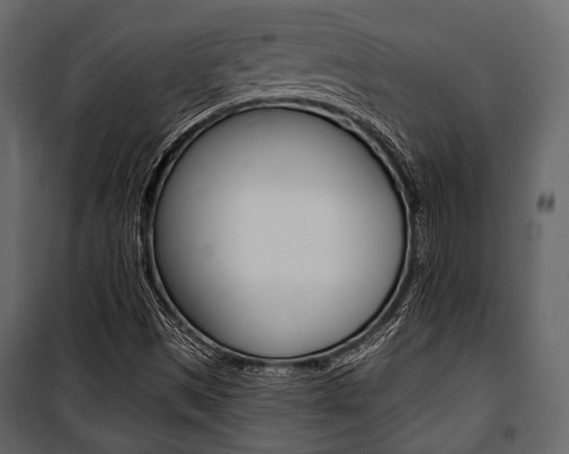 X0000100921497200806241101