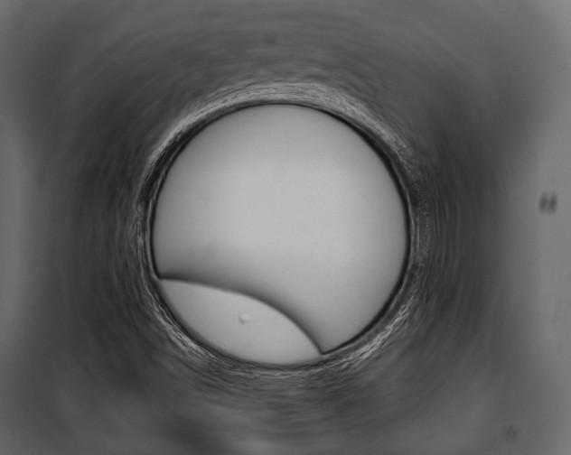 X0000100921498200806241101
