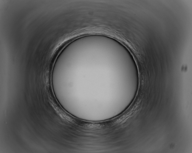 X0000100921499200806241101