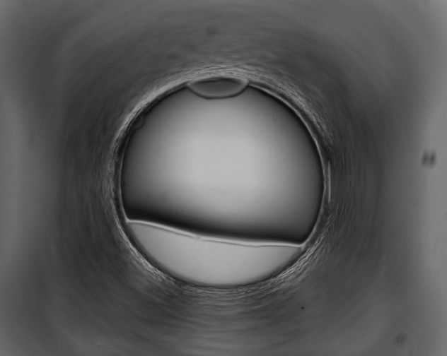X0000100921500200806241101