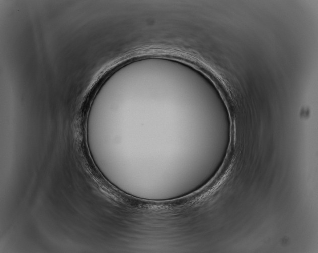X0000100921501200806241101