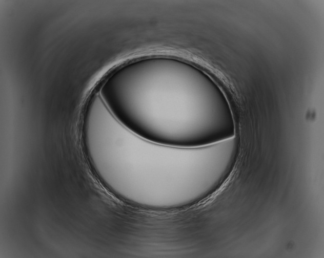 X0000100921502200806241101