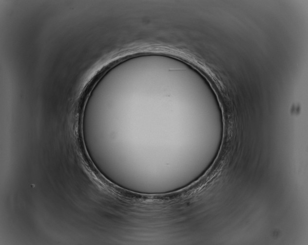 X0000100921503200806241101