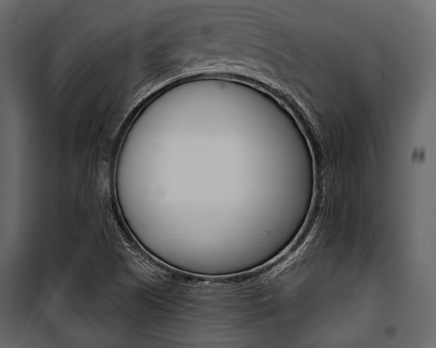 X0000100921505200806241101