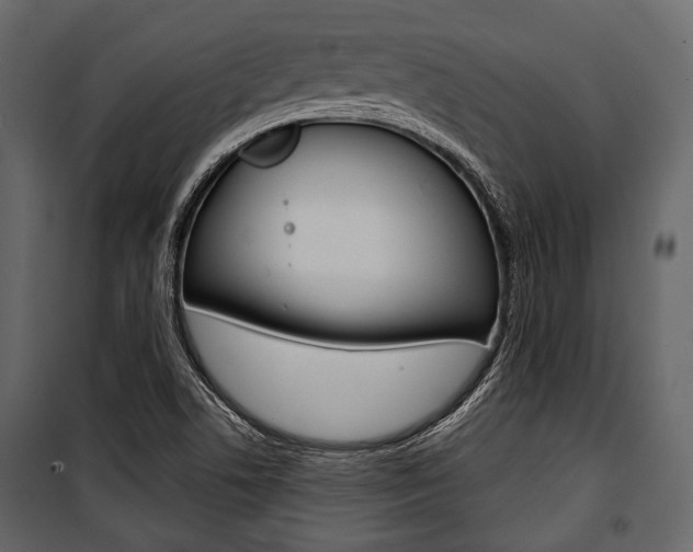 X0000100921506200806241101