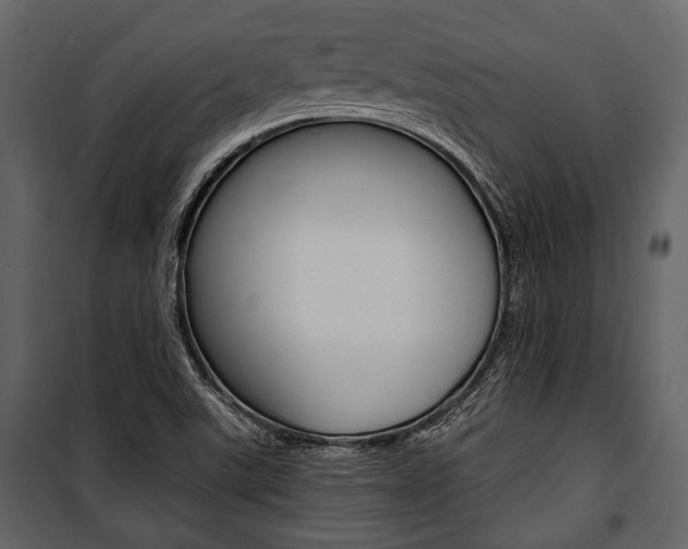 X0000100921507200806241101