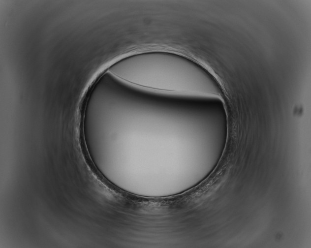 X0000100921508200806241101