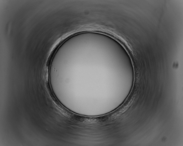X0000100921509200806241101