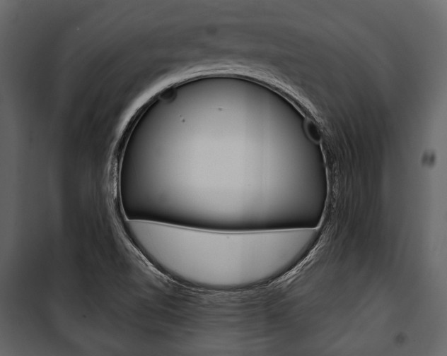 X0000100921510200806241101
