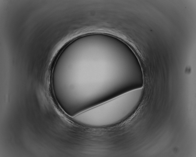 X0000100921511200806241101
