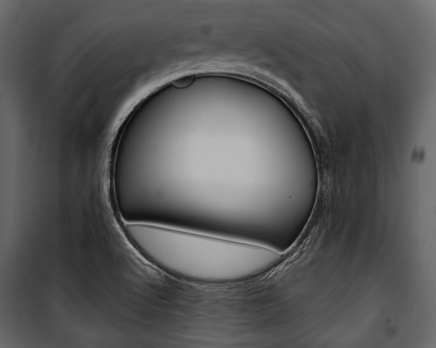 X0000100921512200806241101