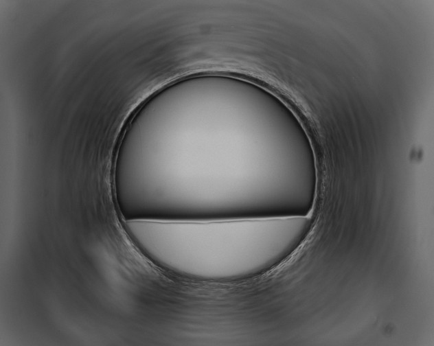 X0000100921513200806241101