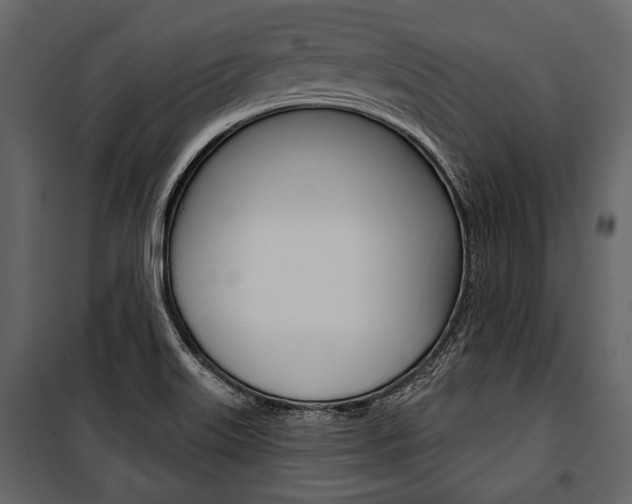 X0000100921515200806241101