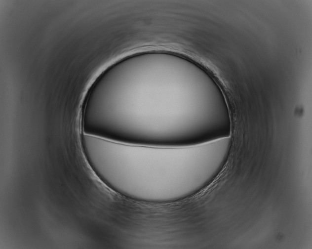 X0000100921516200806241101