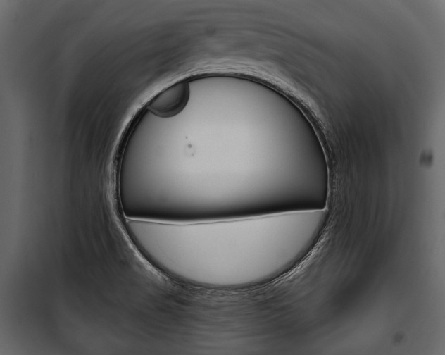 X0000100921517200806241101