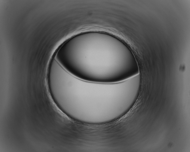 X0000100921518200806241101