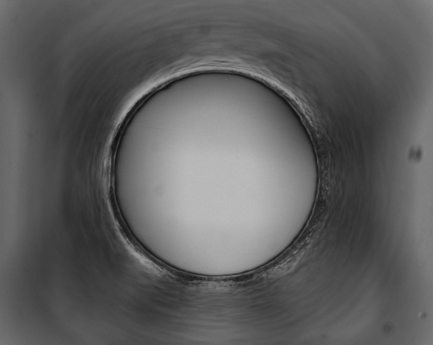 X0000100921519200806241101