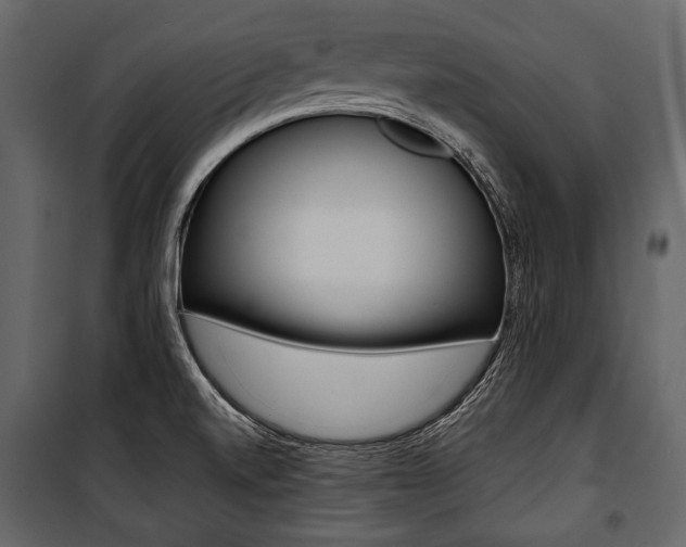 X0000100921520200806241101
