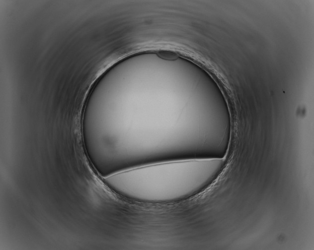 X0000100921521200806241101
