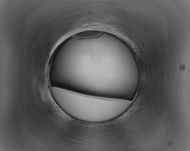 X0000100921522200806241101
