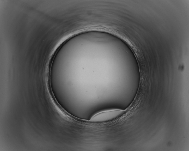 X0000100921523200806241101