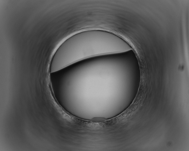 X0000100921524200806241101