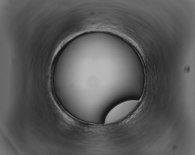 X0000100921525200806241101