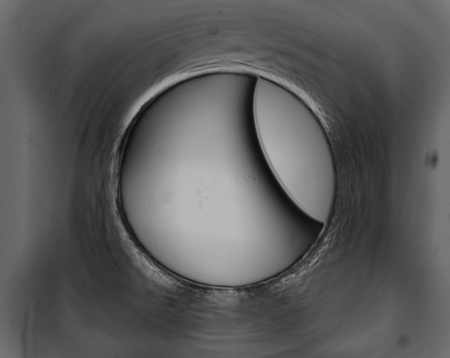 X0000100921526200806241101