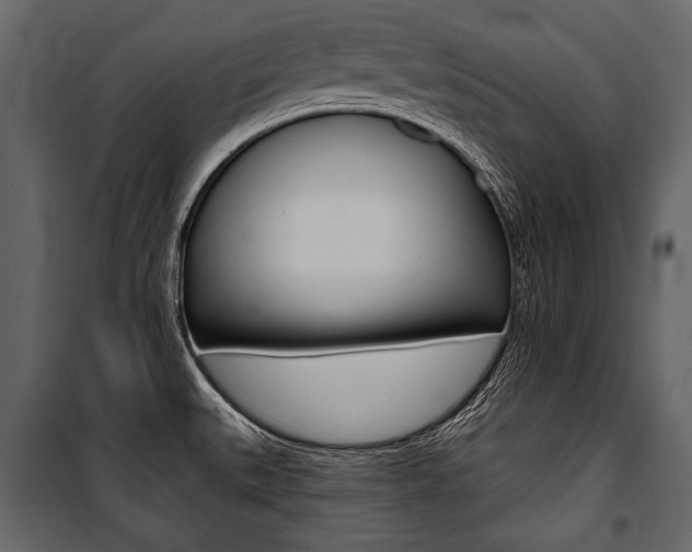 X0000100921527200806241101