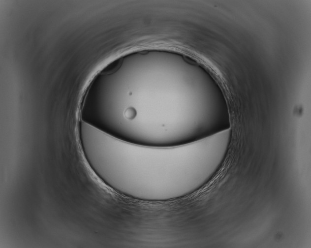 X0000100921528200806241101