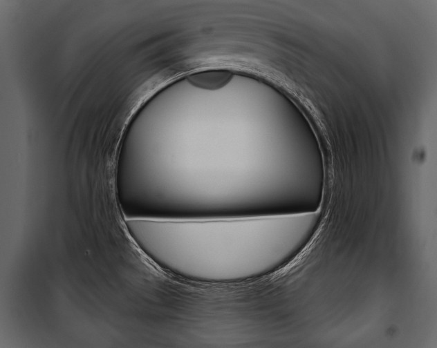 X0000100921529200806241101