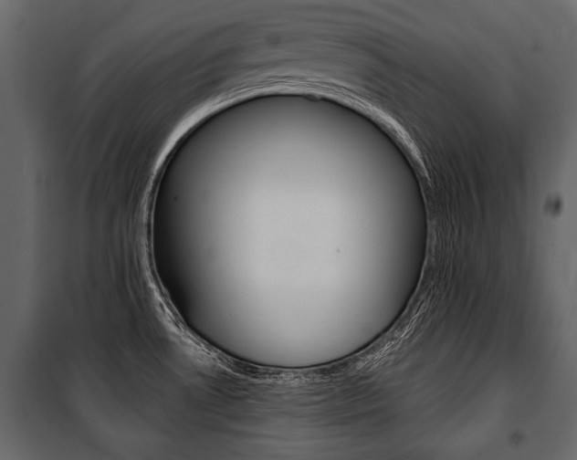 X0000100921530200806241101