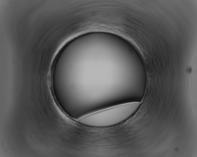 X0000100921531200806241101