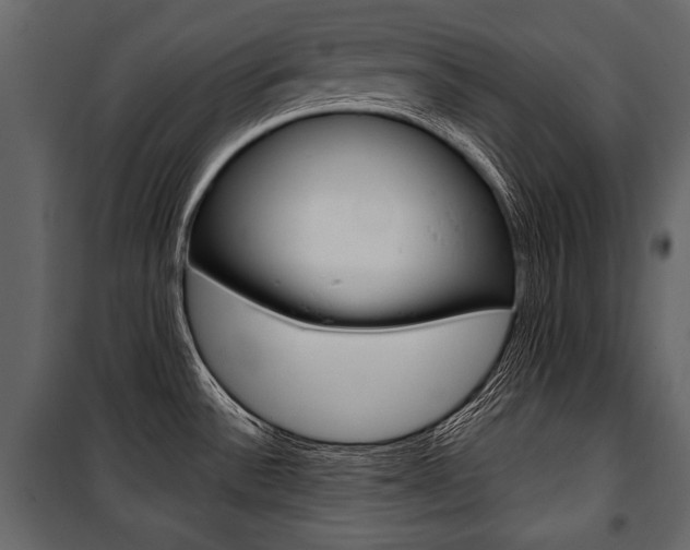 X0000100921532200806241101