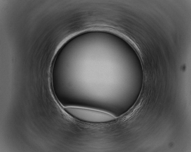 X0000100921533200806241101
