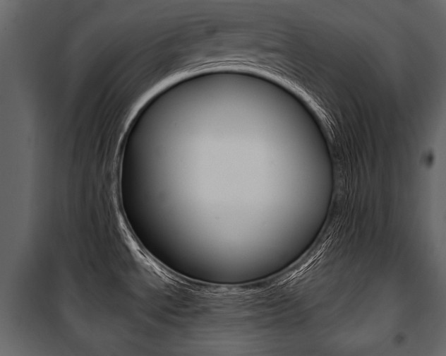 X0000100921534200806241101