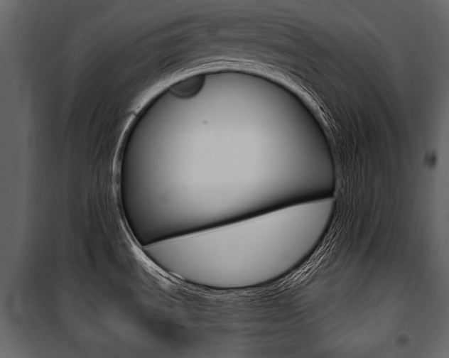 X0000100921535200806241101