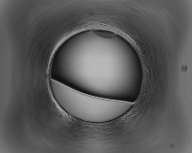 X0000100921536200806241101