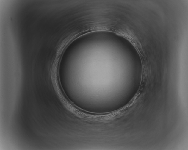 X0000100920001200806241354